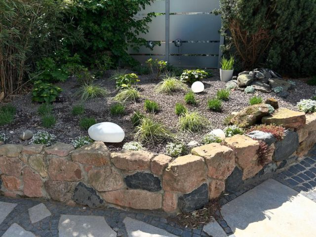 Neupflanzung 🪴😎 #gartenglück #gartenarbeitmachtglücklich #pflanzbeet #gärtnernmachtglücklich #gärtner #pflanzenimgarten #landschaftsgärtner #grünmachtglücklich #gartenträume #gartenarbeiten #garteninspirationen #langgöns #gießen