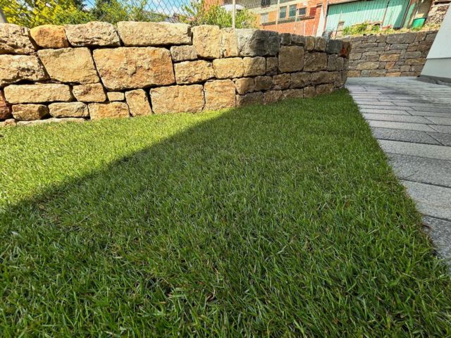 Langsam wird es grün 😊✌️

#gärtner #muschelkalkstein #naturstein #trockenmauern #trockensteinmauer #drystonewaller #stonewalling #landschaftsgärtner #gärtnerausleidenschaft #gartenundlandschaftsbauer #rollrasen #schöngrün #gartenideen #gartenimpressionen #passiongarden #langgöns #butzbach